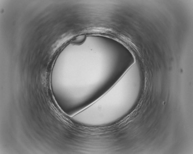 X0000087011404200704161253