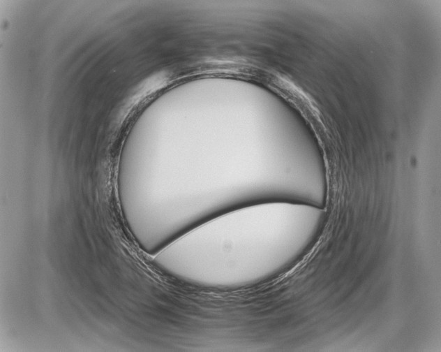 X0000087011411200704161254