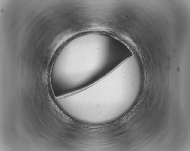 X0000087011412200704161254