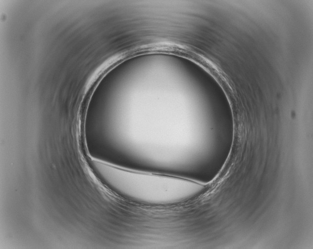 X0000087011418200704161254