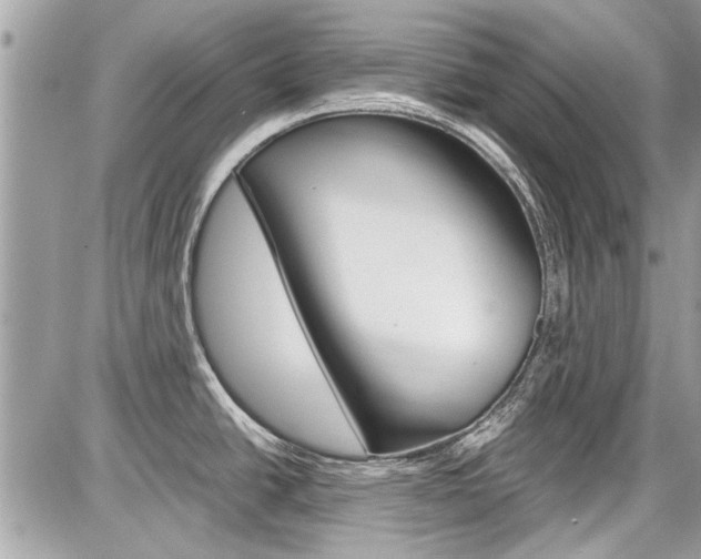 X0000087011438200704161254