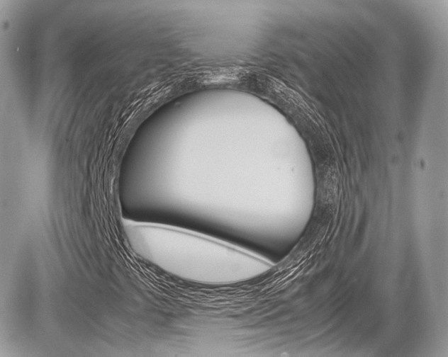 X0000087011441200704161253
