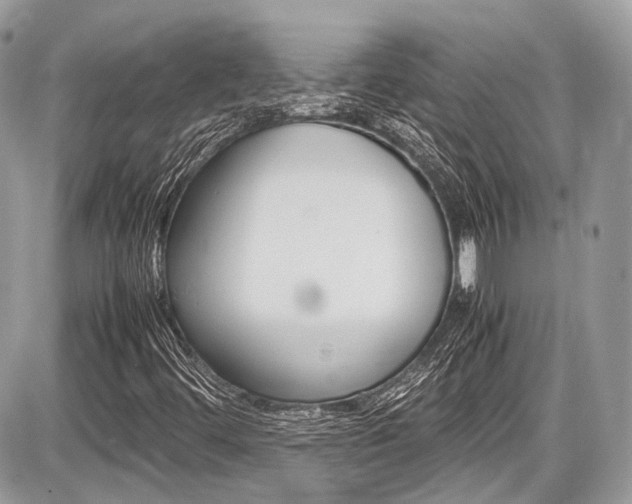 X0000087011444200704161253