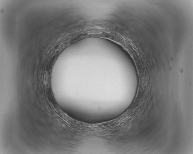 X0000087011445200704161253