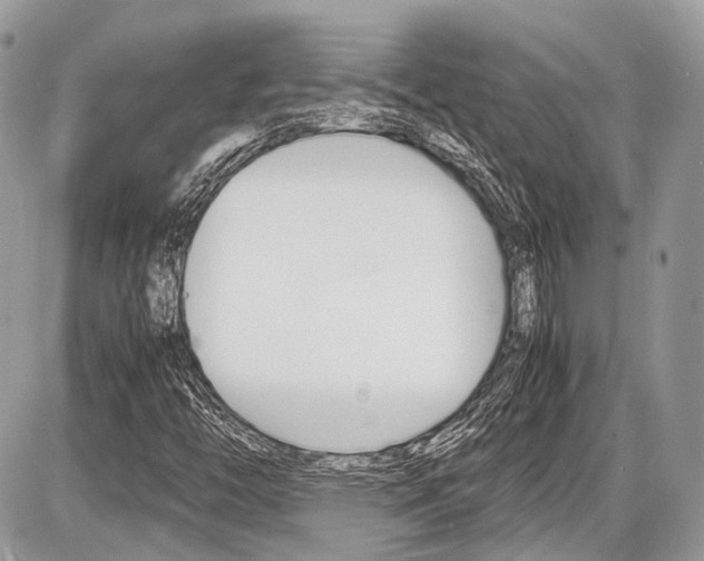 X0000087011446200704161253