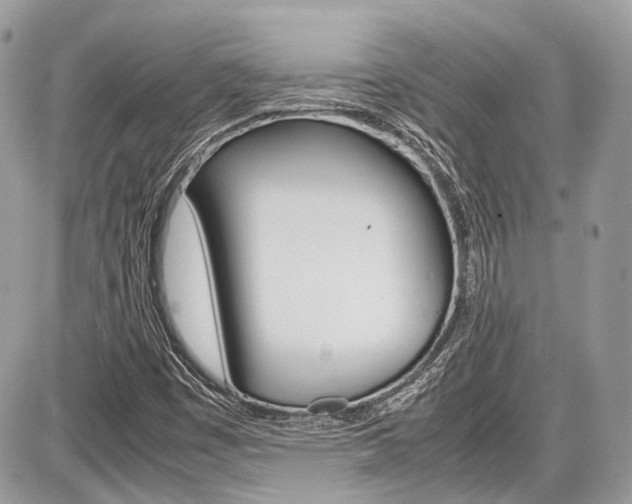 X0000087011449200704161253