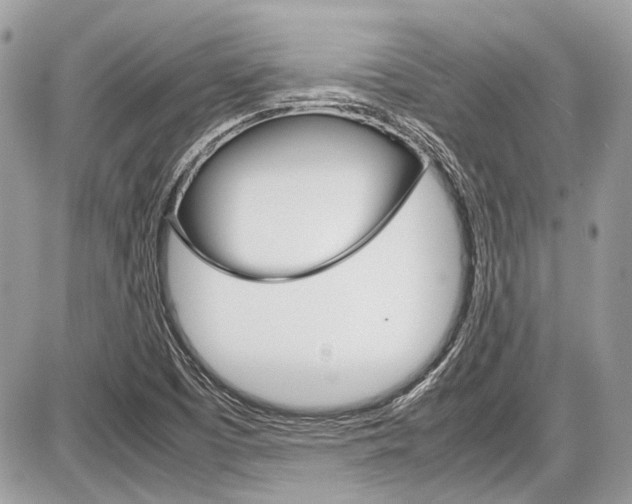 X0000087011457200704161253