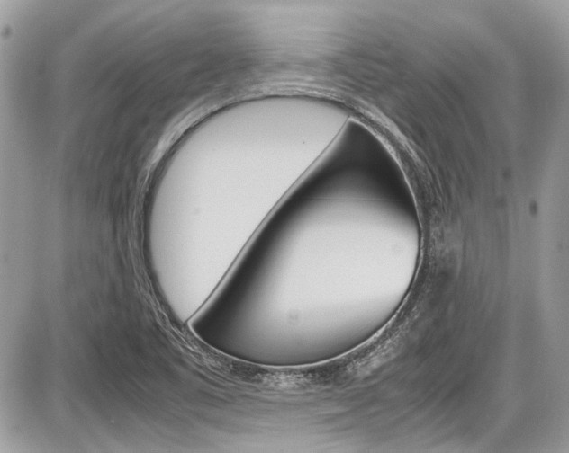 X0000087011461200704161253