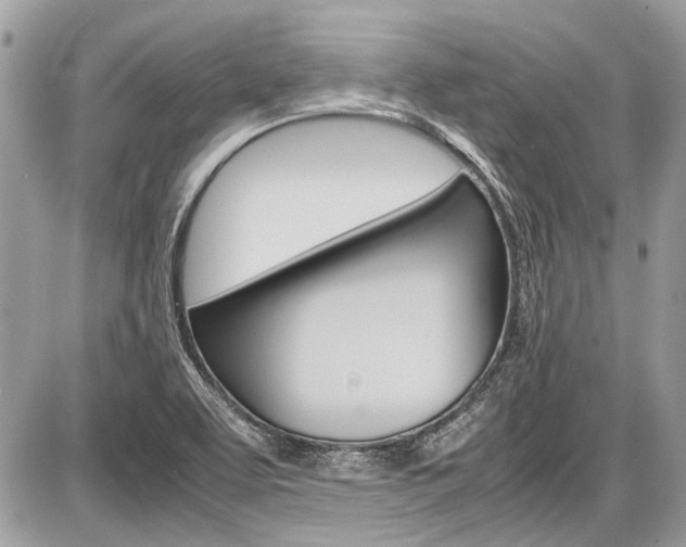 X0000087011463200704161253