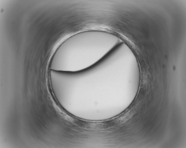 X0000087011471200704161253