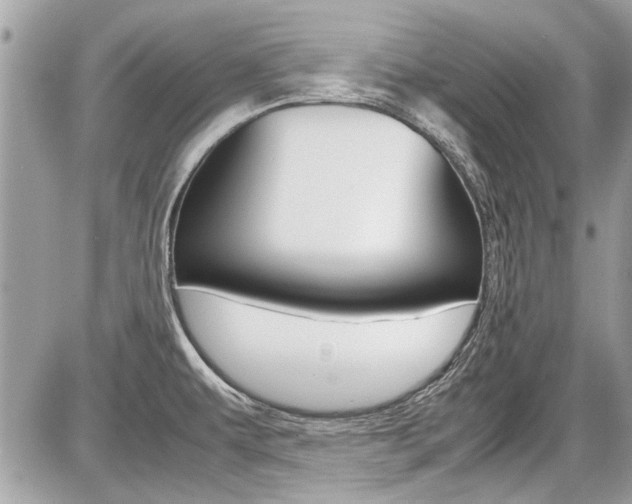 X0000087011479200704161253