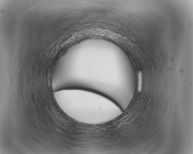 X0000087011491200704161252