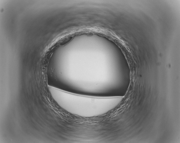 X0000087011496200704161252