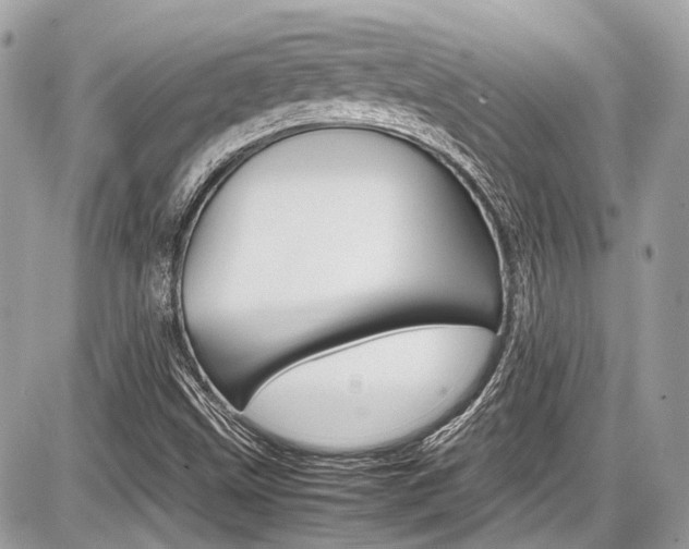 X0000087011499200704161252