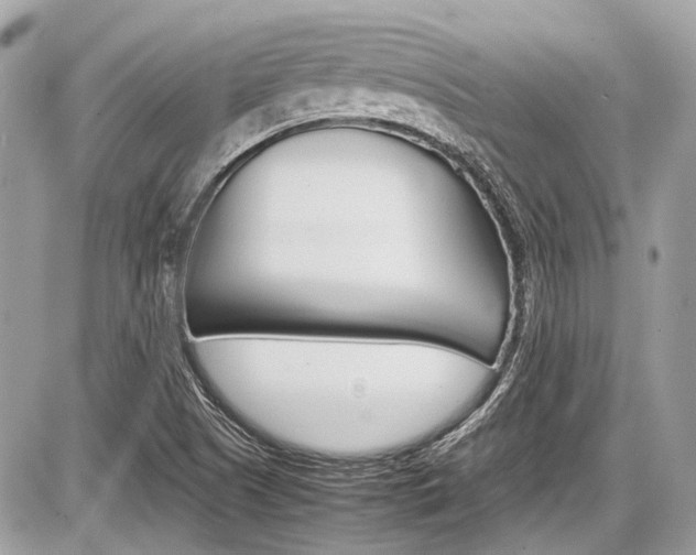 X0000087011505200704161252