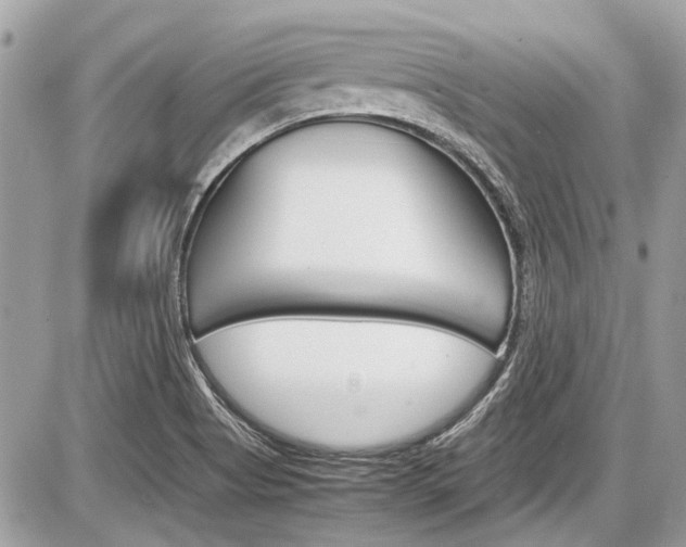 X0000087011513200704161252