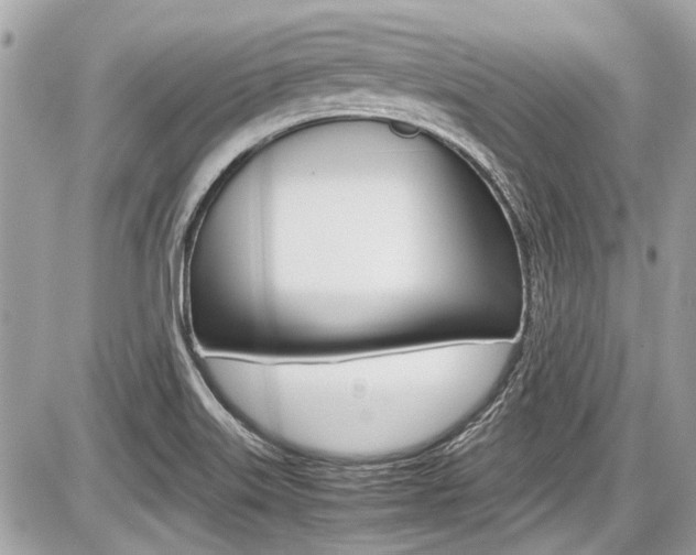 X0000087011515200704161252