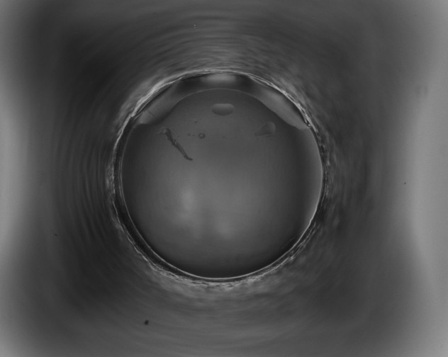 X0000087010002200704161550
