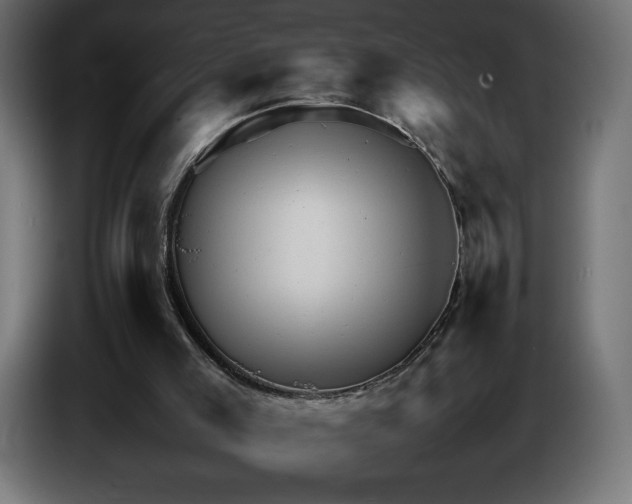 X0000087010005200704161550