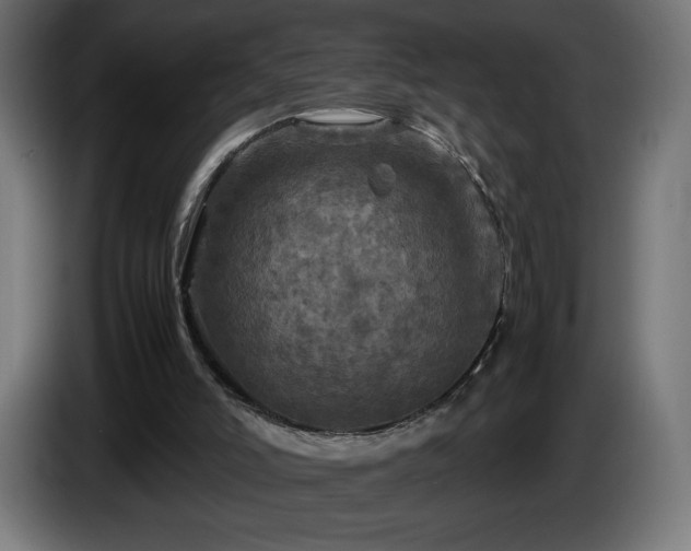 X0000087010006200704161550
