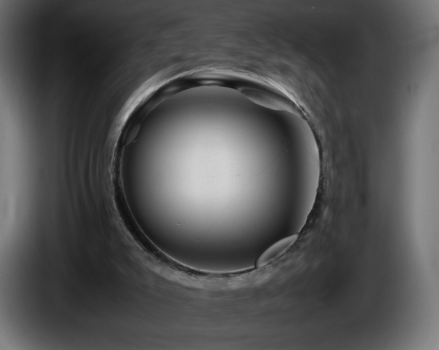 X0000087010007200704161550