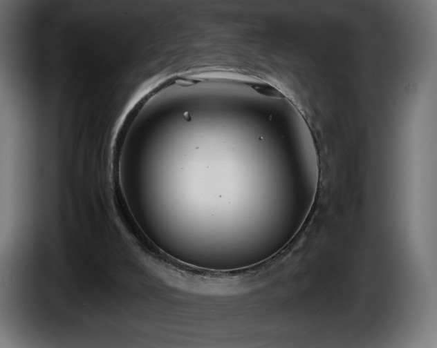 X0000087010008200704161550