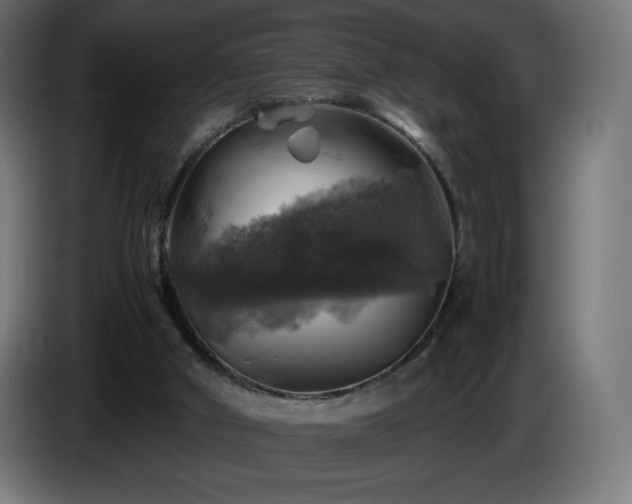 X0000087010010200704161550