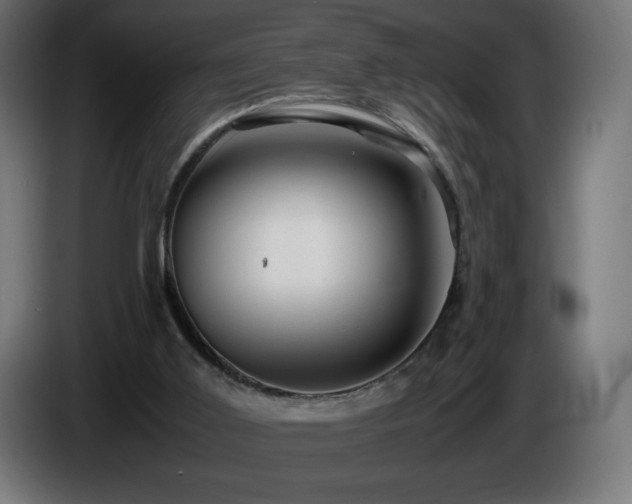 X0000087010011200704161550