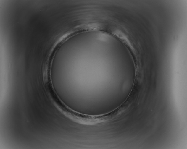 X0000087010012200704161550