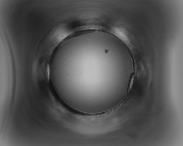 X0000087010013200704161550