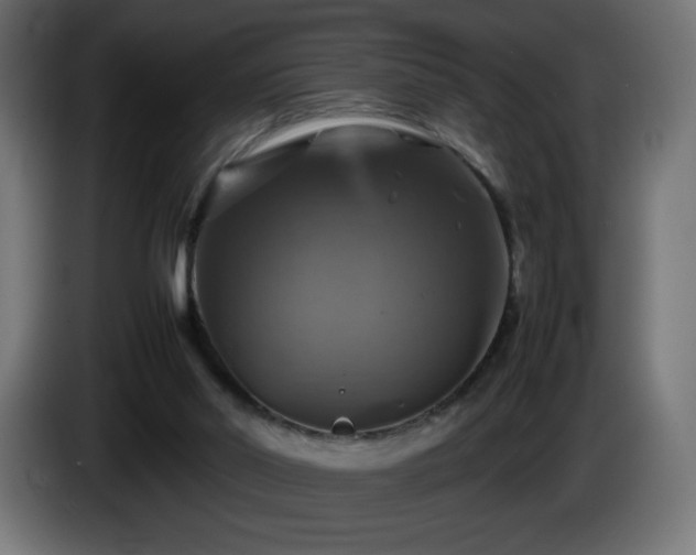 X0000087010014200704161550