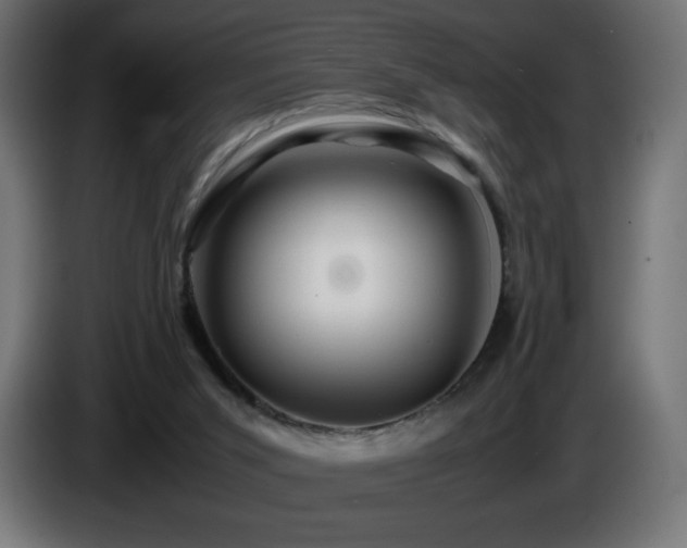 X0000087010015200704161550