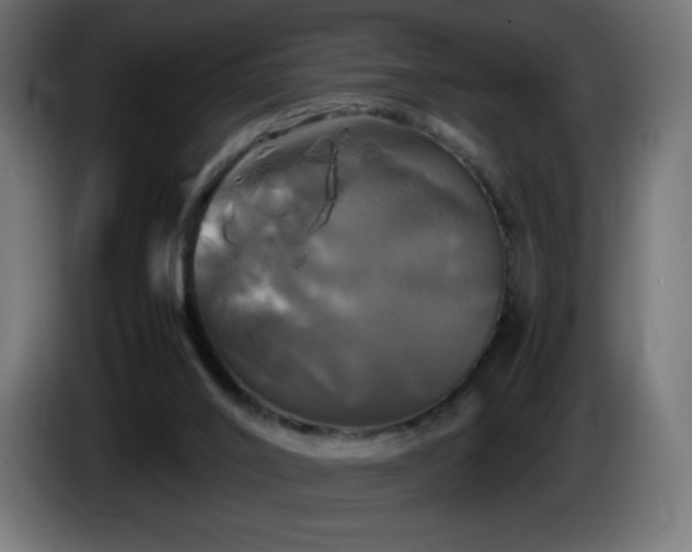 X0000087010016200704161550