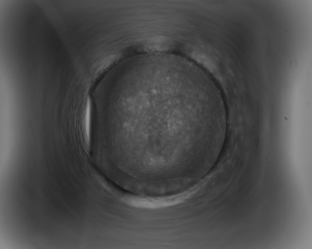 X0000087010017200704161550