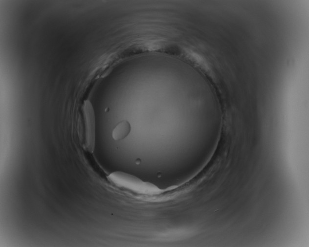 X0000087010018200704161550