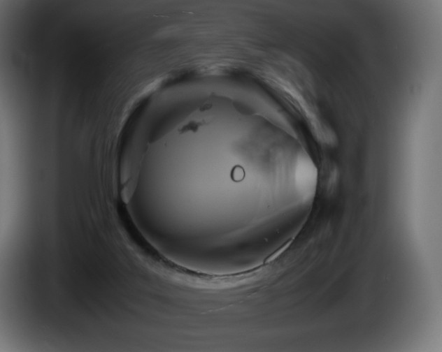 X0000087010019200704161550