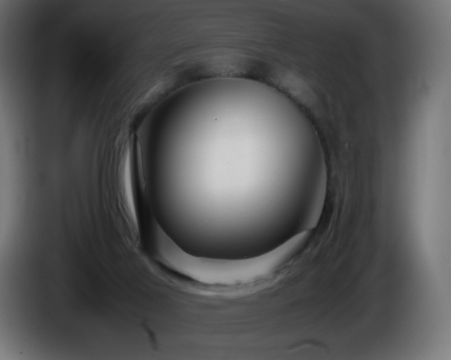 X0000087010021200704161550