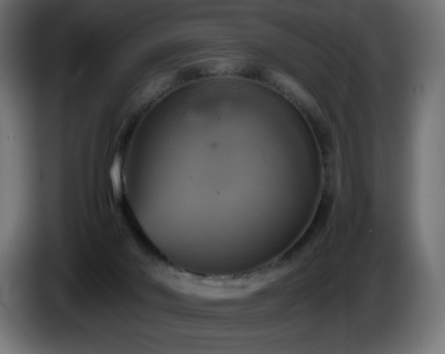 X0000087010022200704161550