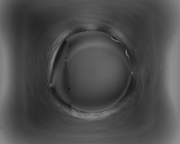 X0000087010023200704161550