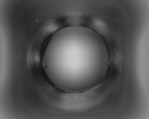 X0000087010025200704161550