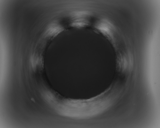 X0000087010029200704161550