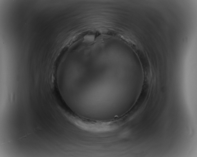 X0000087010032200704161550