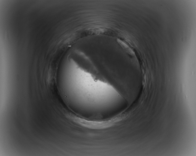 X0000087010034200704161550