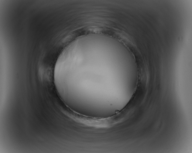 X0000087010036200704161550