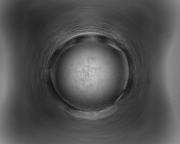 X0000087010037200704161549