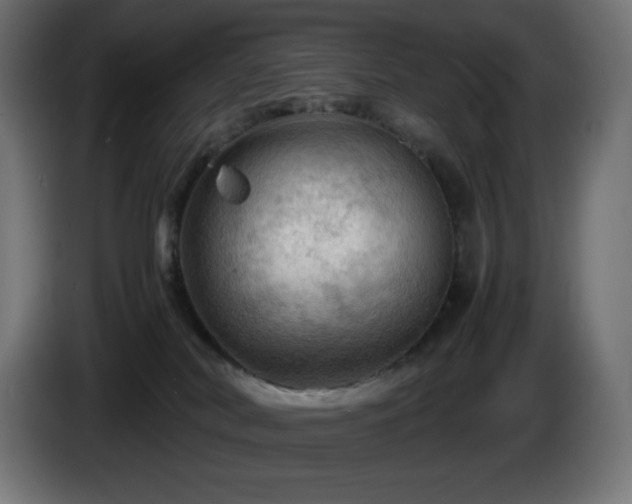 X0000087010038200704161549