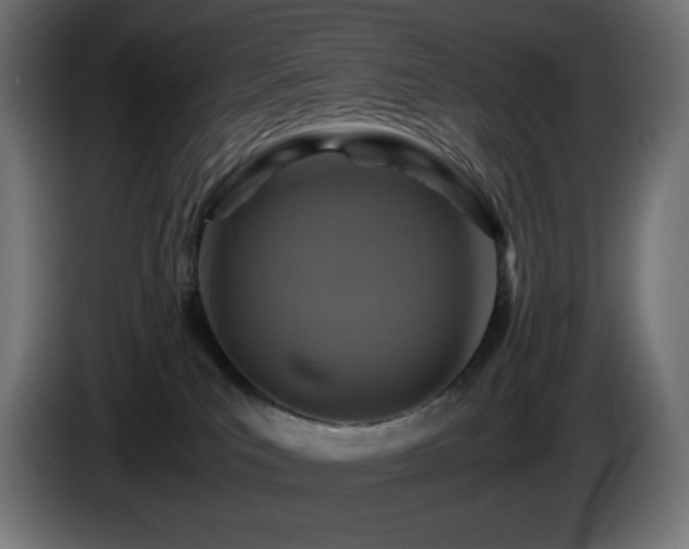 X0000087010039200704161549
