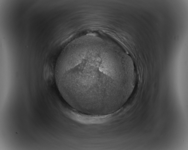 X0000087010040200704161549