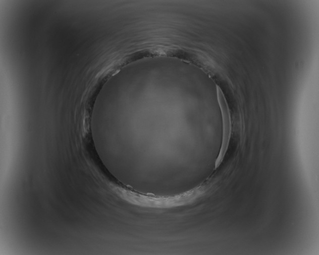 X0000087010043200704161549