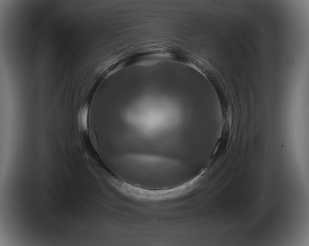 X0000087010047200704161549
